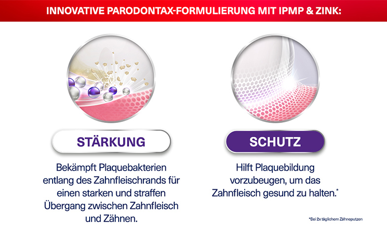 Gewinne eine Delfin-Patenschaft! (Delfine im Wasser)